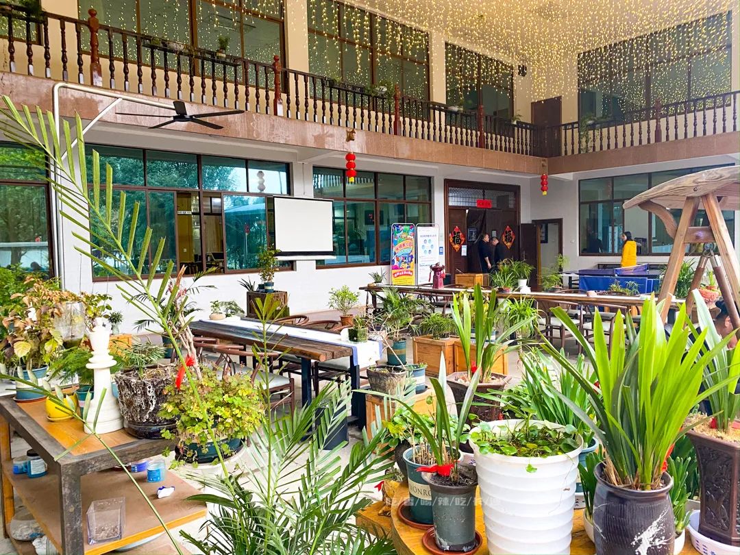 长沙攻略非热门,长沙旅游攻略免费存行李