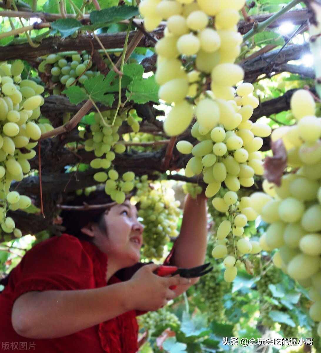 南疆旅游攻略,南北疆最值得去的景点