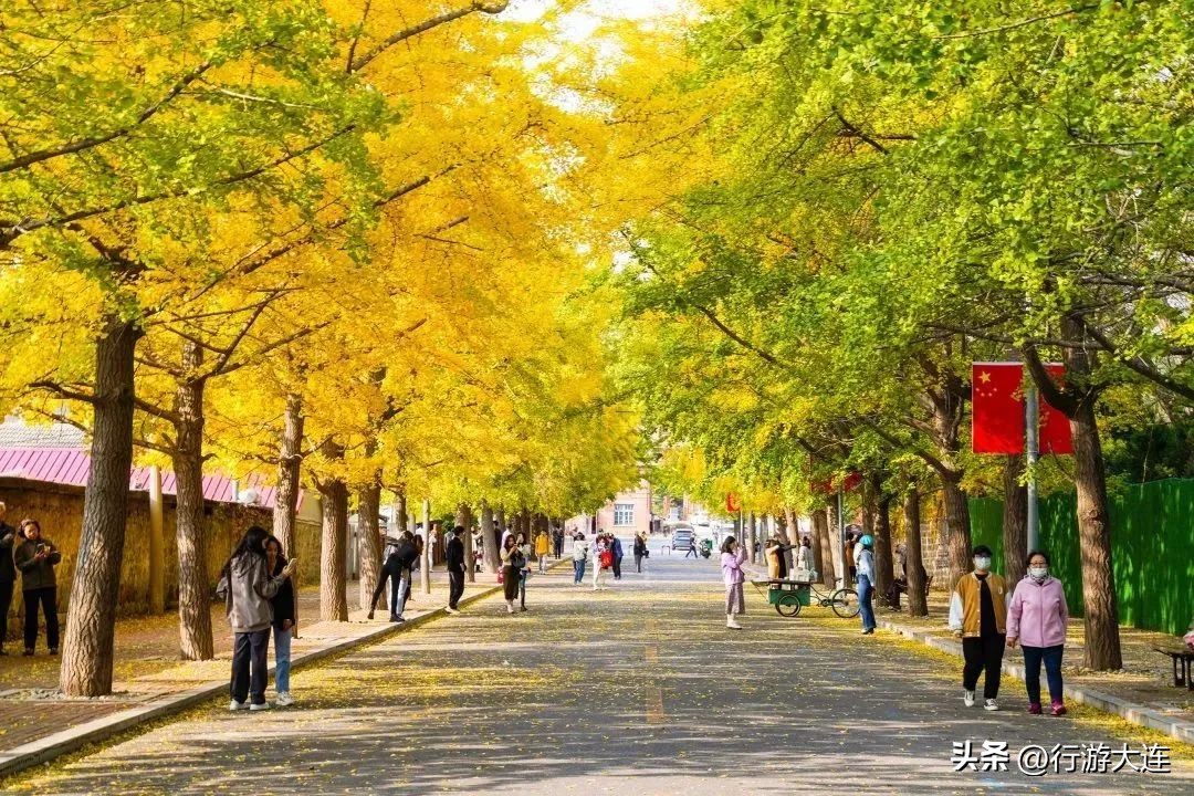 大连到旅顺游玩攻略,大连好玩的地方推荐旅顺海边