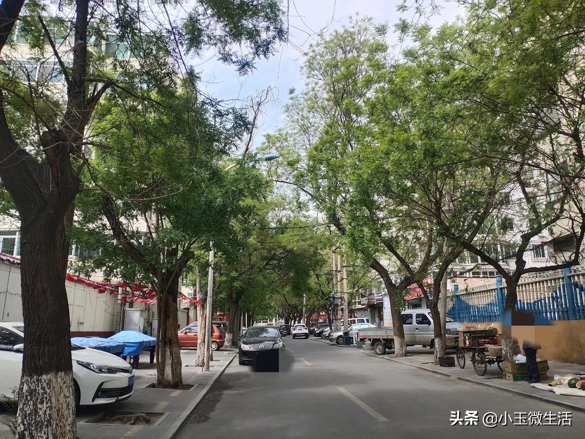 宣化十中老校区,宣化有名的老学校