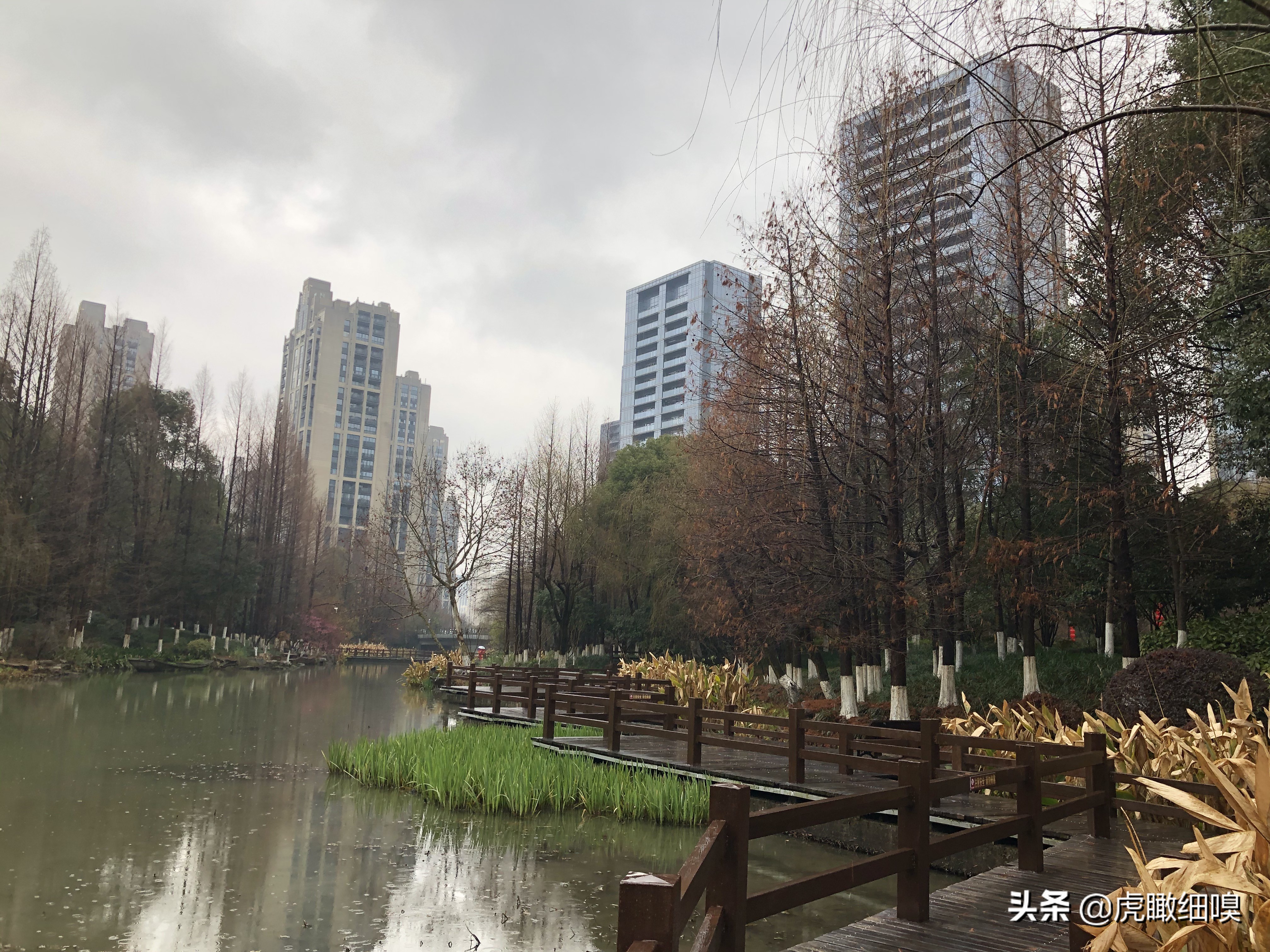 临平水景公园秋天,临平公园当地知名度最高的公园