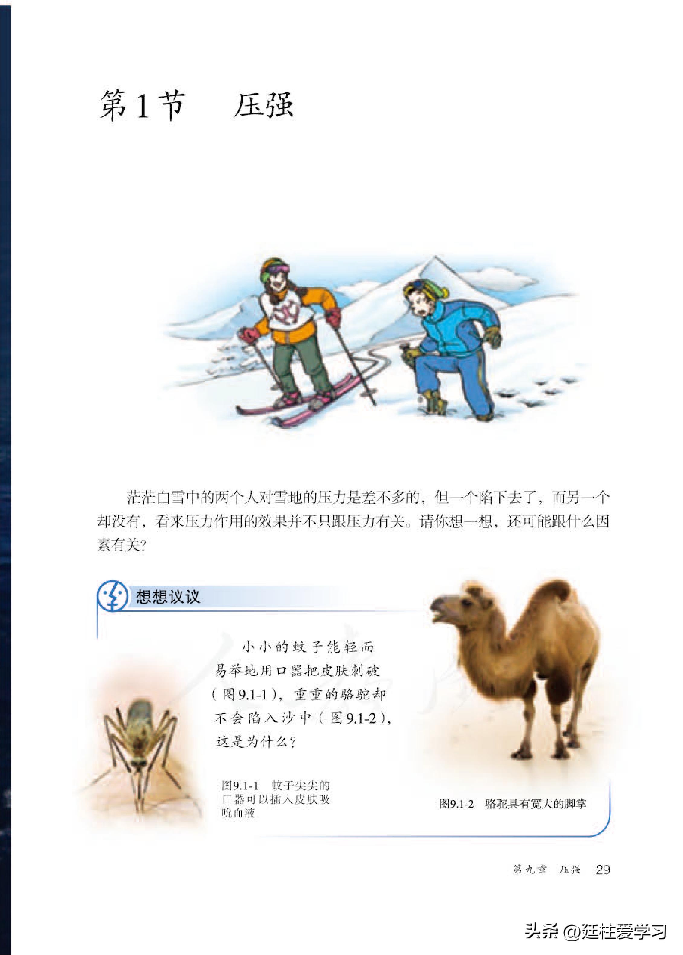 物理八年级下册全易通电子版,求知报八年级下册物理电子版