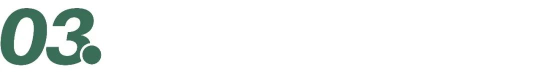 斯凯奇与爱马仕,斯凯奇爱马仕