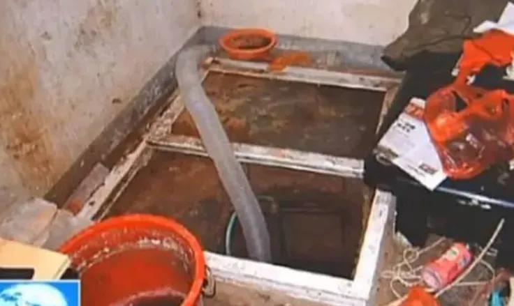 女子被强迫卖淫七名嫌疑人已抓获,强迫36名女性卖淫案例