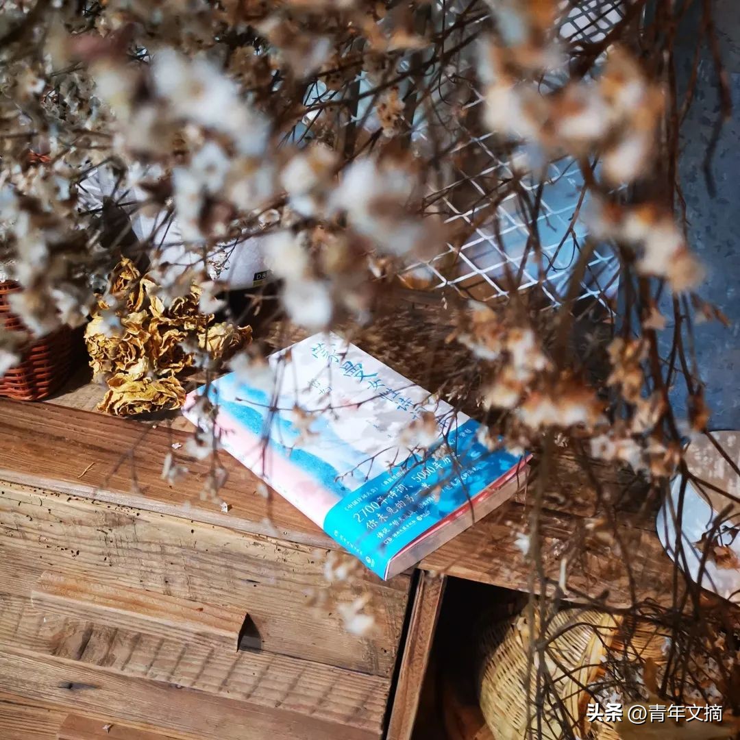 四大美人的杨玉环是传说皮肤吗,四大美人之杨玉环高清在线观看