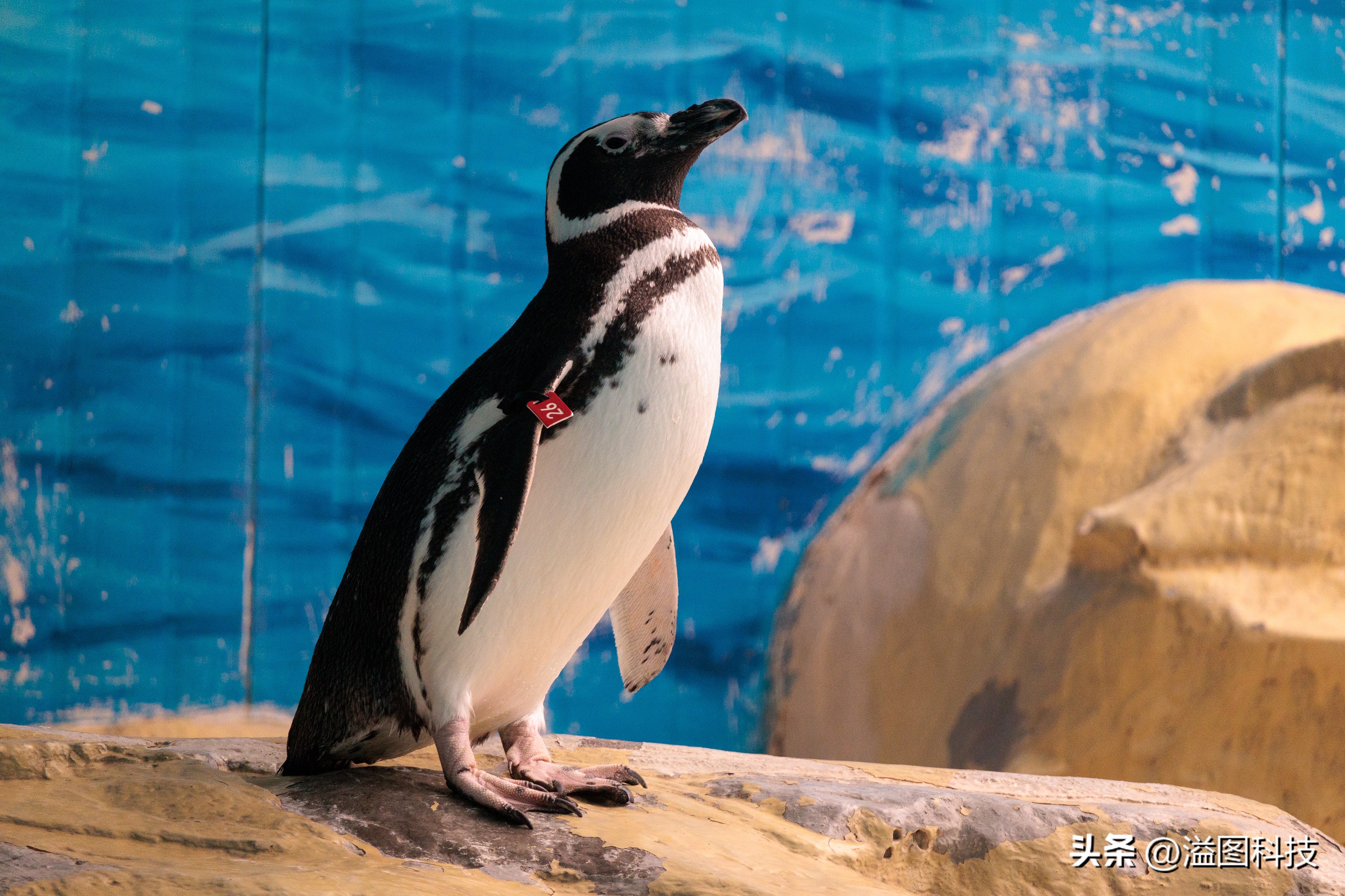 佳能rf-s55-210mm,和儿子感受大自然的气息和美景