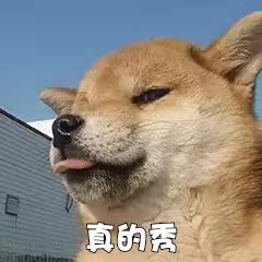 奇葩招聘要求接连不断，秘书岗竟被要求必须有“*生活性**经验”？