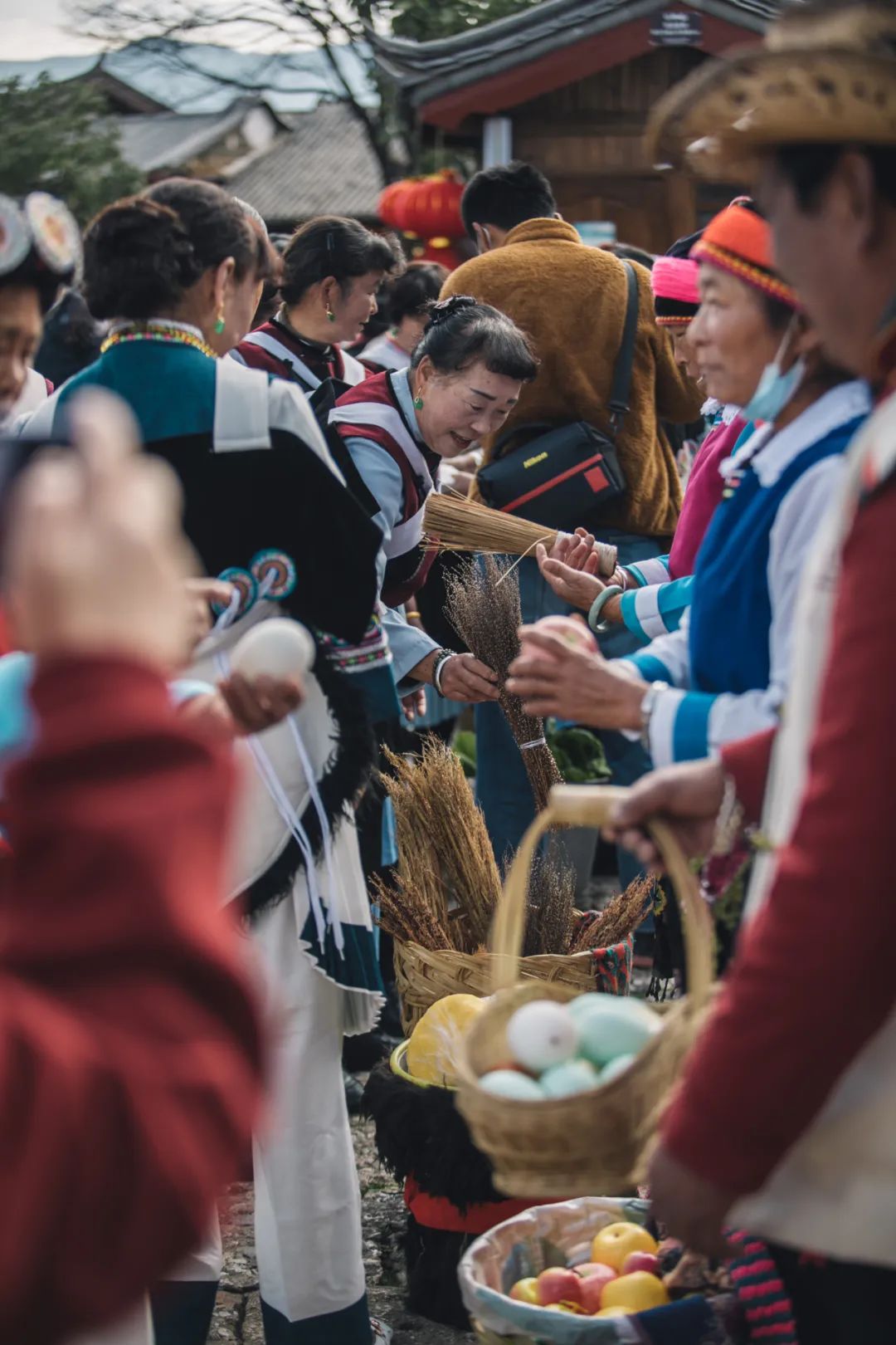 丽江一个来了就舍不得离开的地方,舍不得的丽江