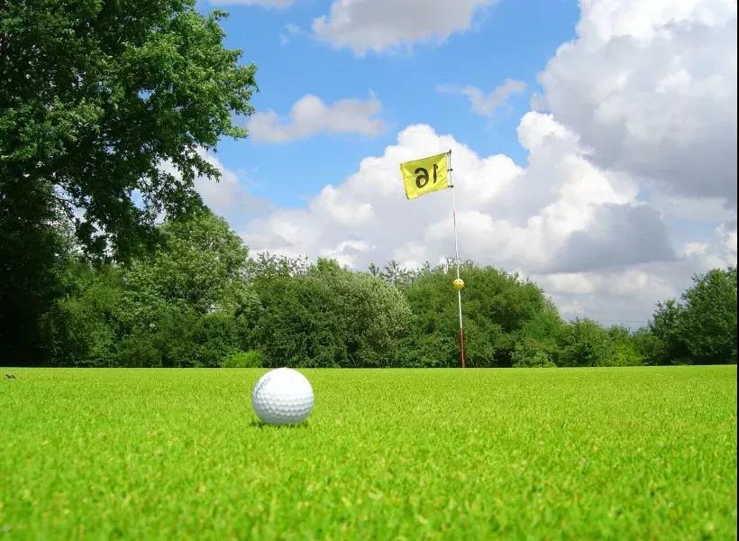 高尔夫常用英文术语,高尔夫的知识有哪些