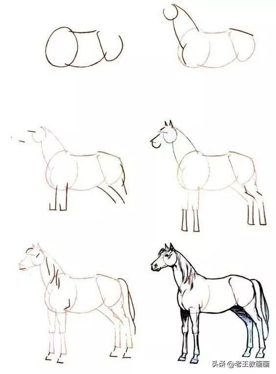 100种绘画基础入门,100幅零基础绘画教程