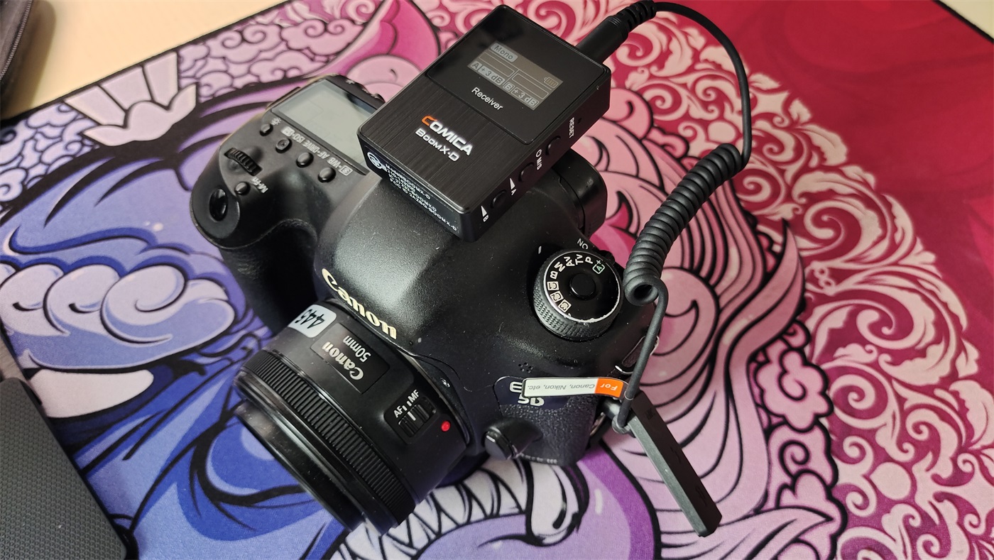 5d3跟r10拍照画质对比,单反佳能5d3值得入手吗