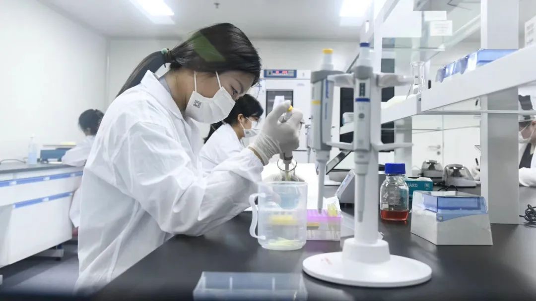 经开区企业名录,经开区46家企业获奖名单