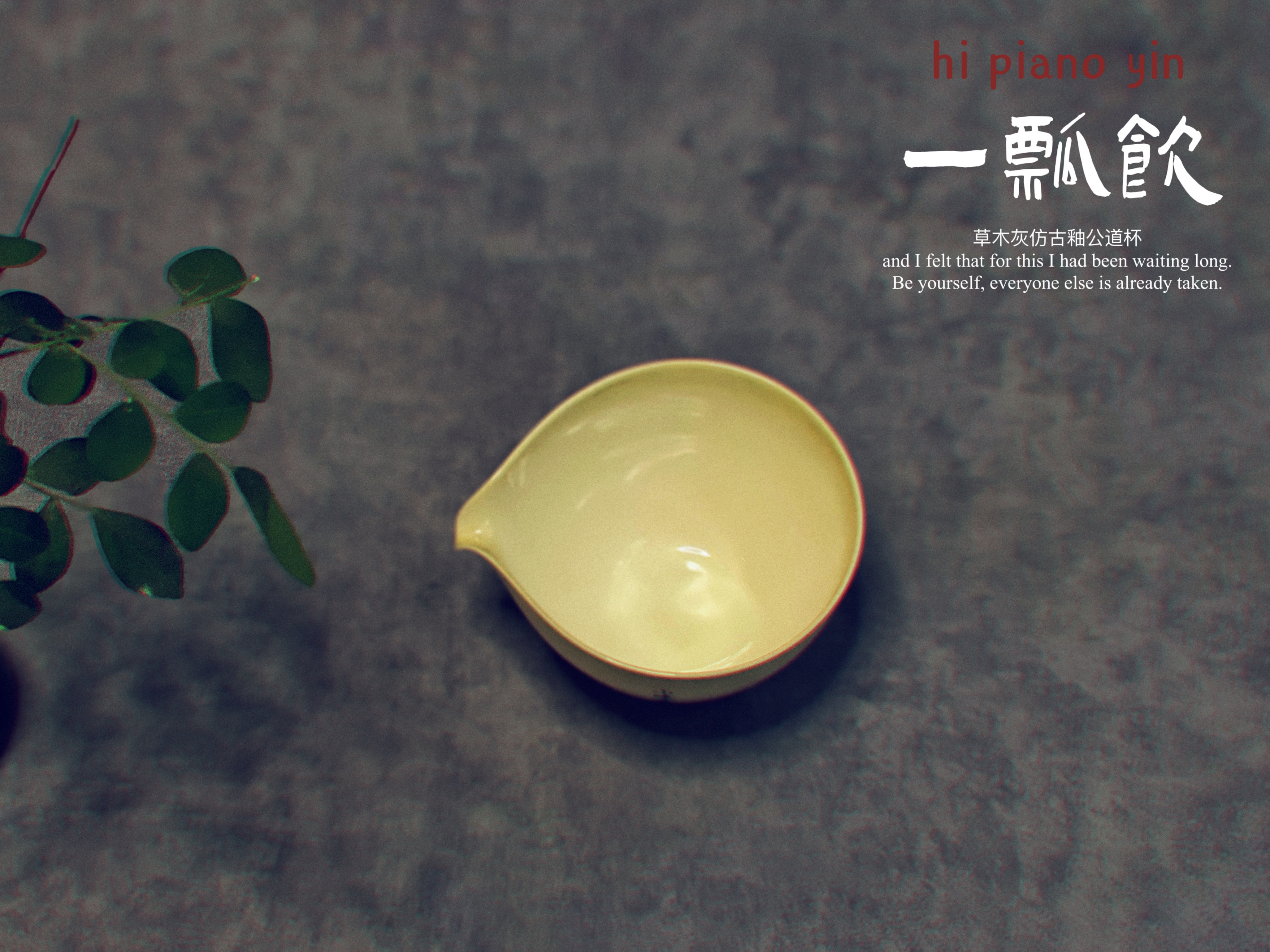 这四种茶具都不错,新手买茶具推荐哪种茶具好