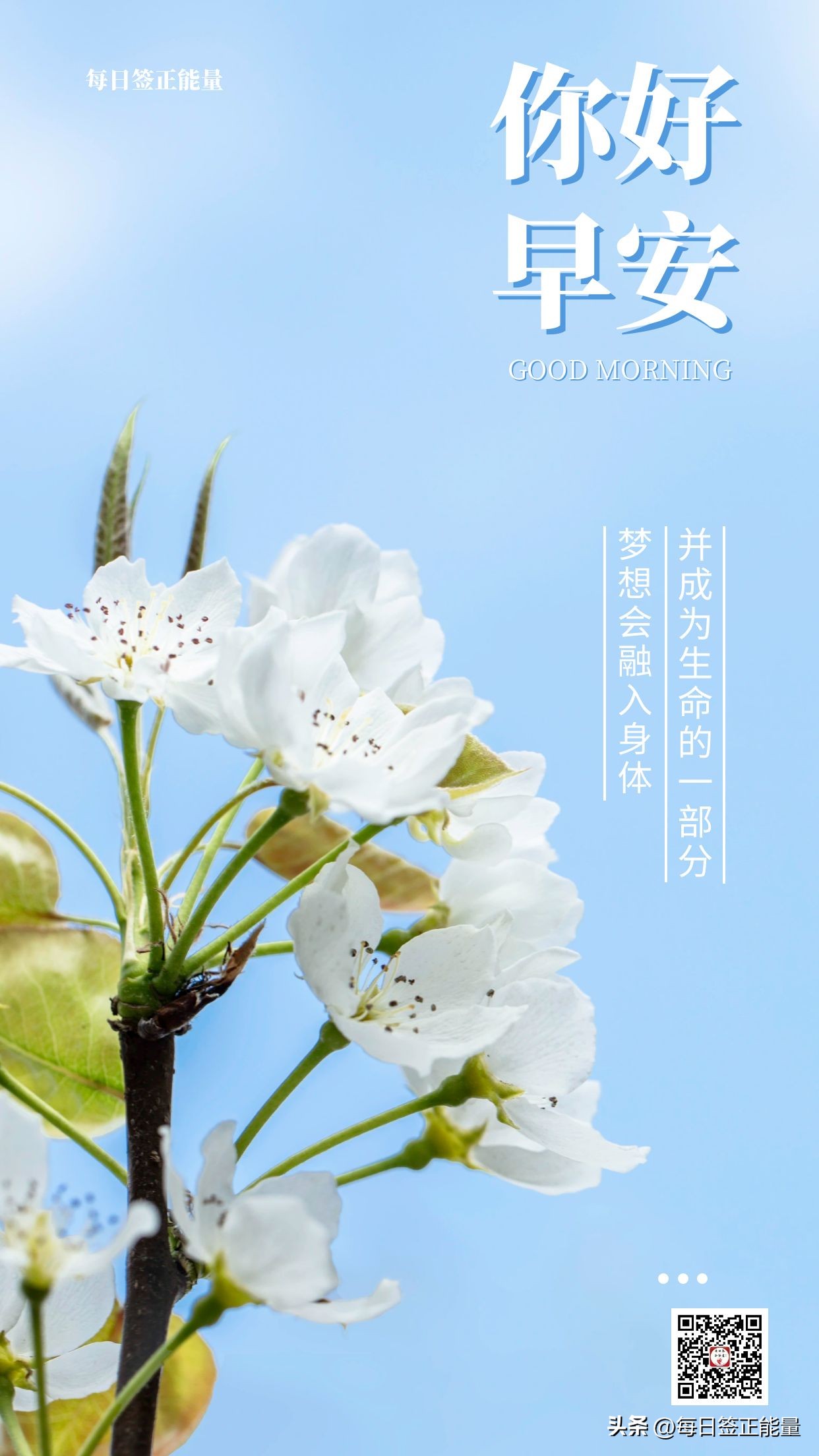 朋友圈的励志的早安短句,清晨励志早安心语正能量祝福句子