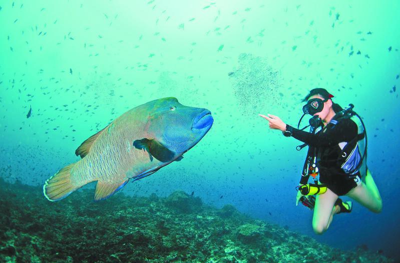 元故事212期│小夏的世界