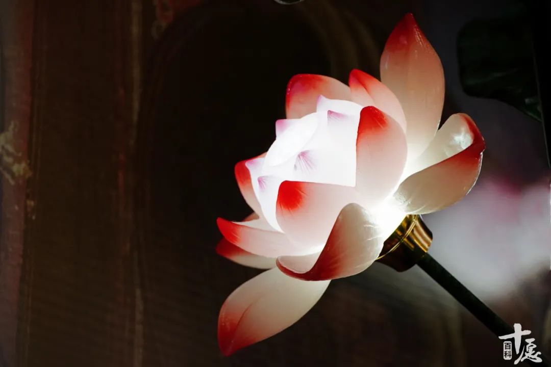 佛教常用100个名词,金刚经涉及的佛教名词解释