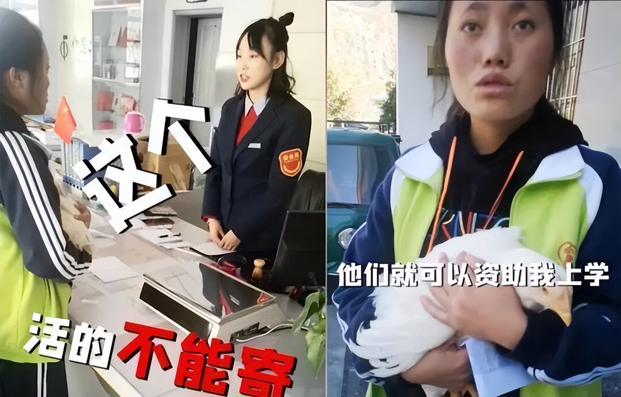 资助女孩上学被拒,贫困女孩给马云寄老母鸡