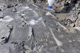 最“土味”的海鲜,这座山东小城吃得有多猛?