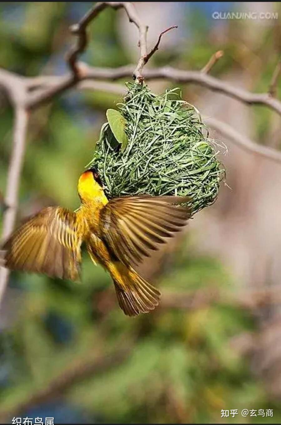 山海经2012白话全译彩图版pdf,山海经海外西经是指哪里