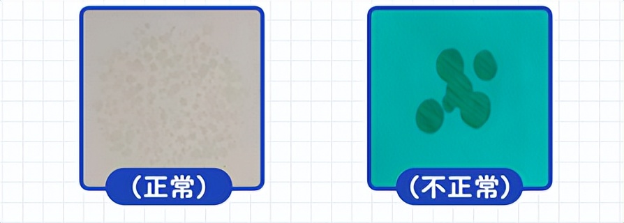 狗狗泪痕的原因,狗狗上火泪痕重什么原因