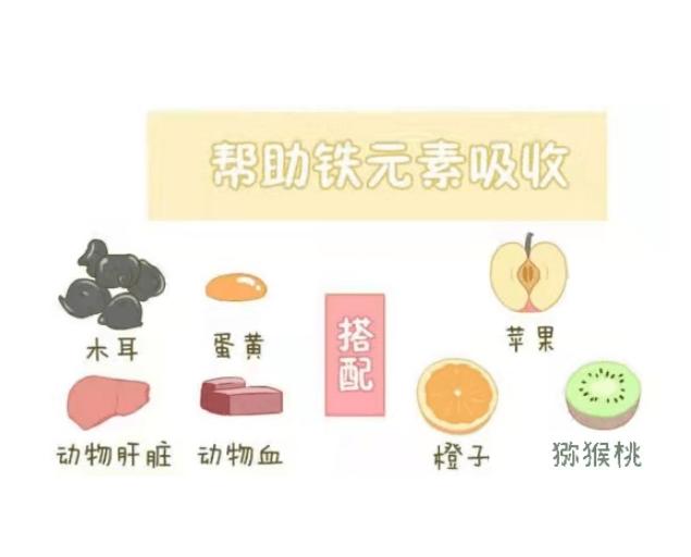 孕期贫血看哪个指标,孕期贫血吃药都补不上去什么原因