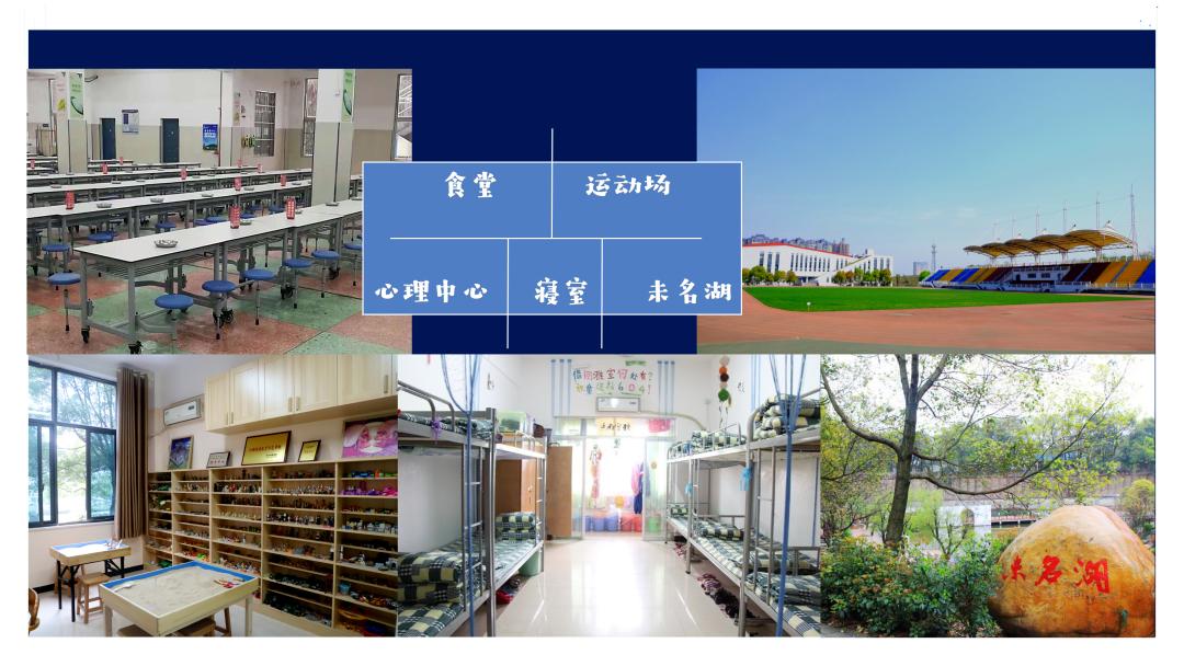 长沙雅礼中学与南雅的区别,长沙中考雅礼集团多少名可进南雅