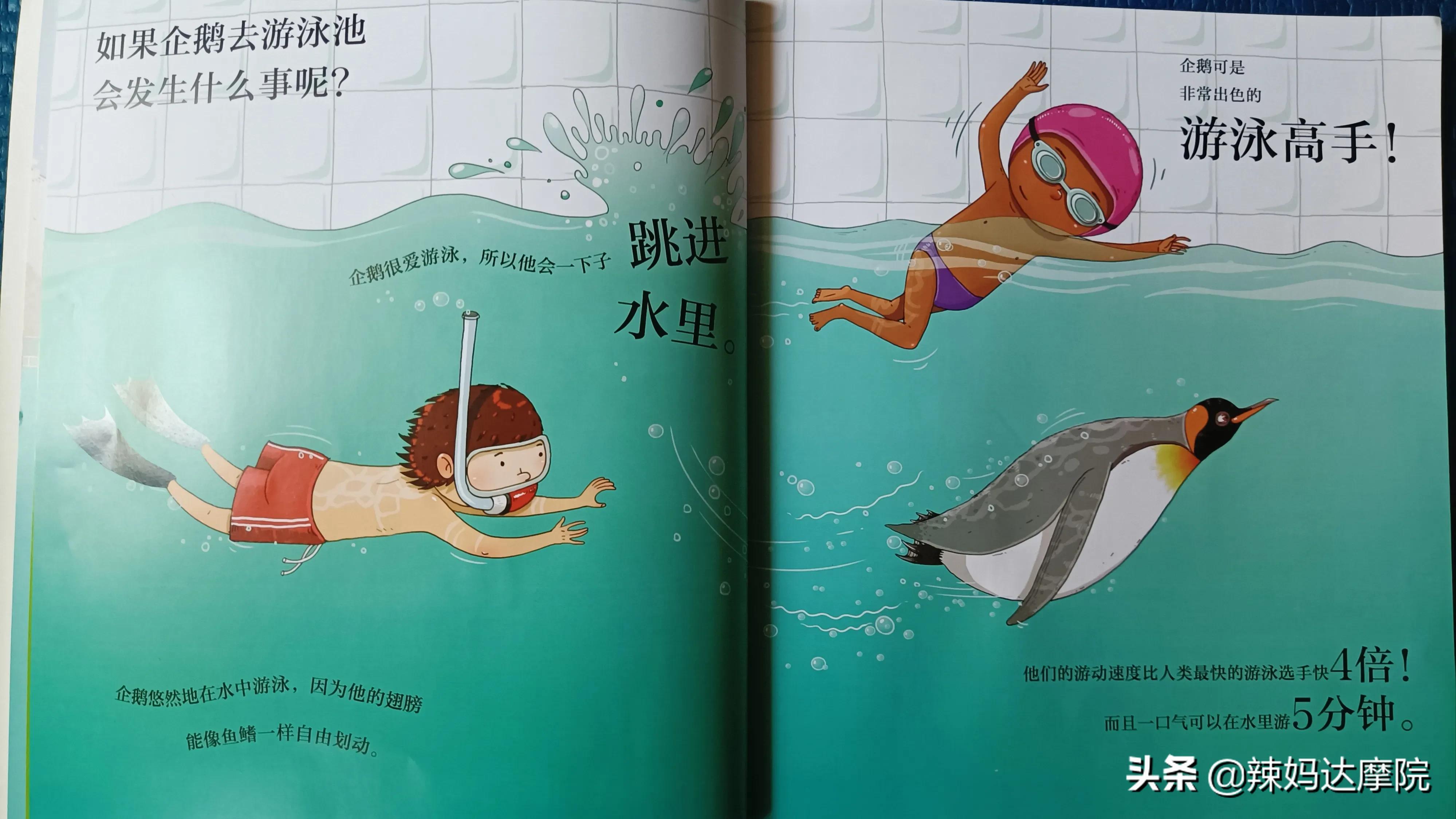 动物妙想国绘本有哪些动物,动物妙想国绘本英文版