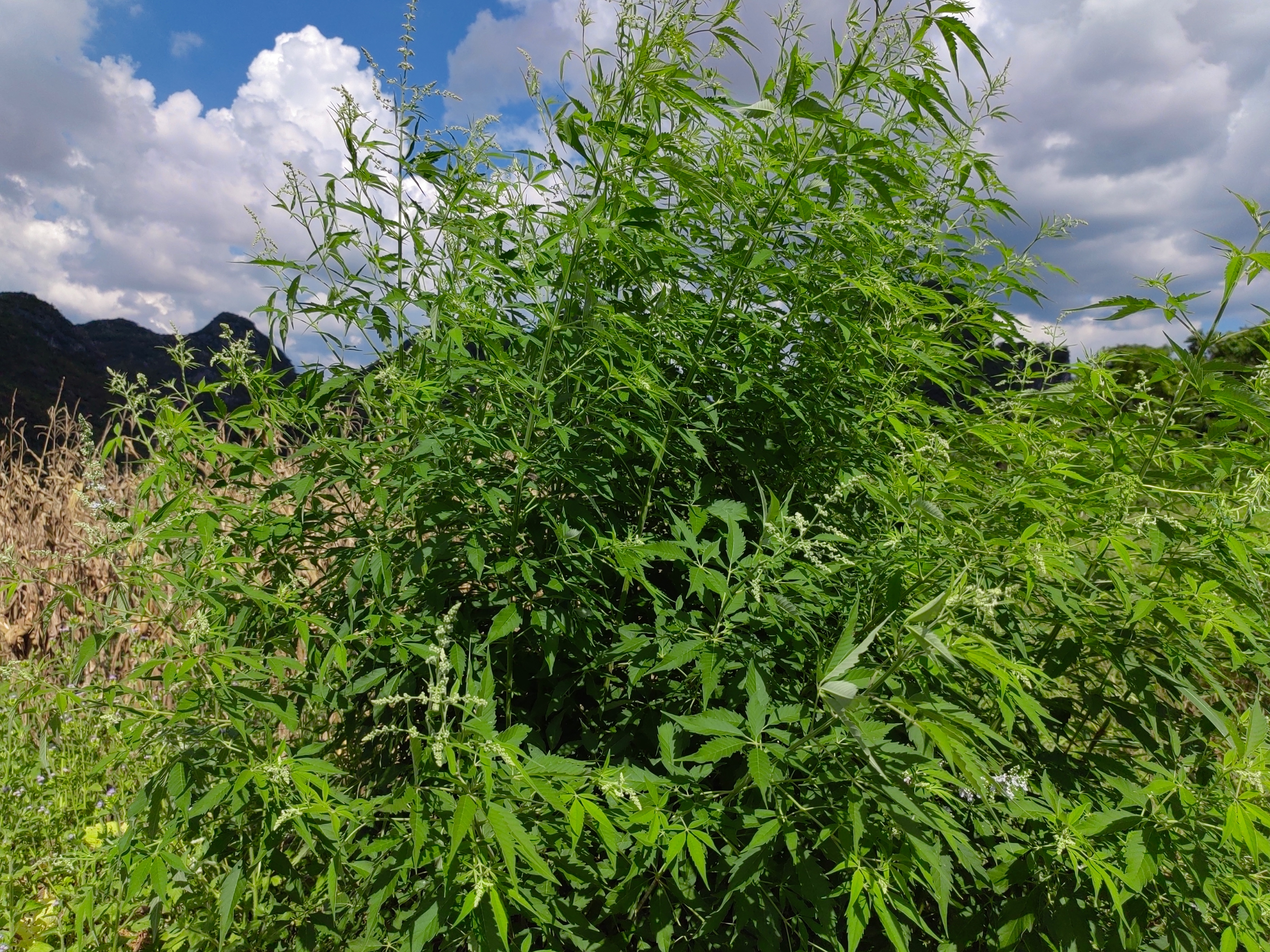 30岁身体开始衰老,35岁身体衰老的表现