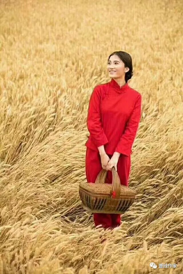 非虚构长篇小说,非虚构故事