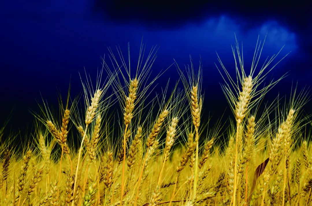 极简风光摄影拍摄技巧,如何拍出风光摄影大片