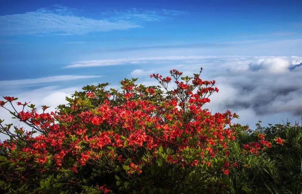 桂林雁山猫儿山,广州出发6天最适宜赏秋旅游
