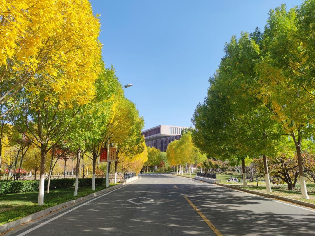 南开大学多少分2023年录取线,2023南开大学临床分数线