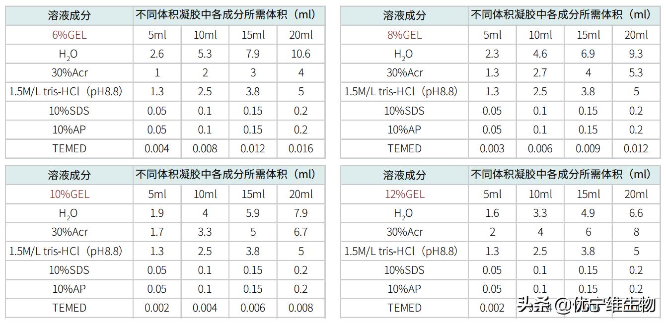 真核原核生物细胞壁,真核生物标记基因