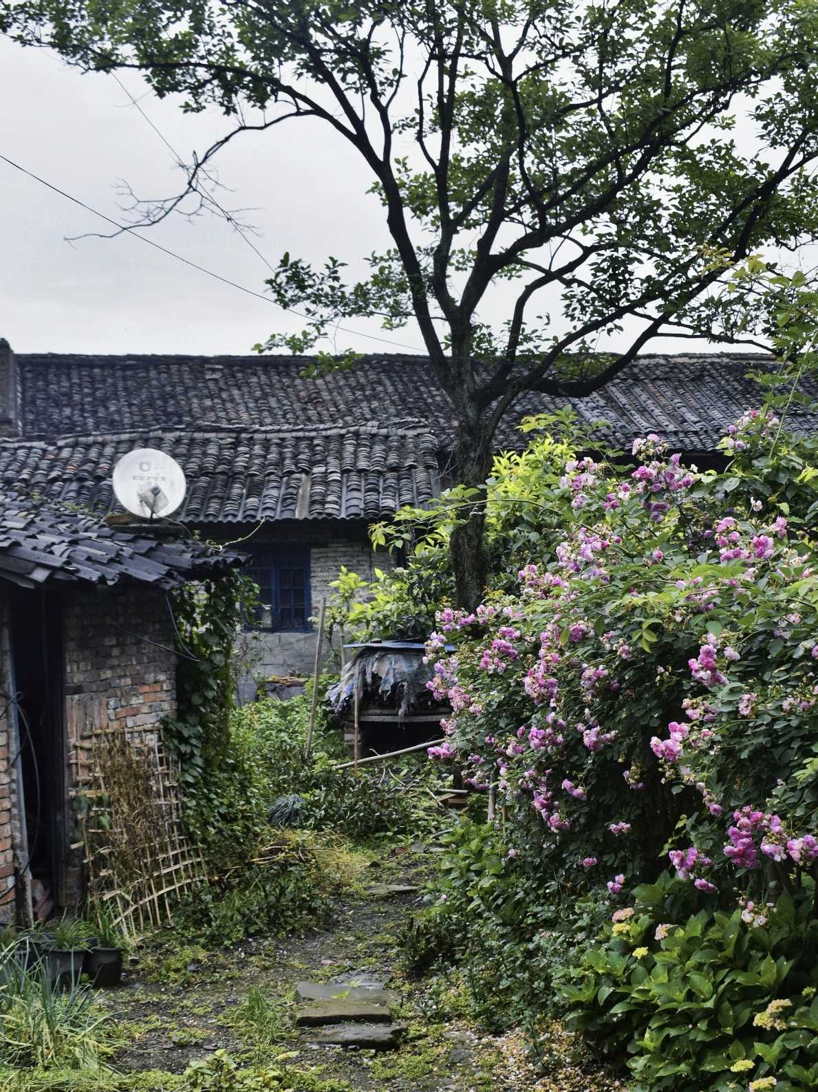 乐山异国风情打卡新去处,乐山游玩攻略及人文风情