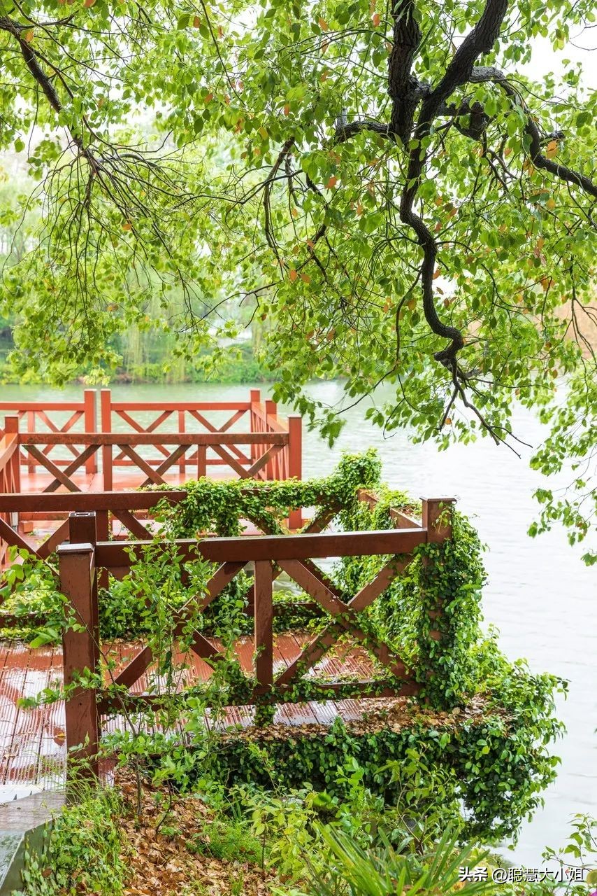 江苏镇江，比扬州安逸。这座有钱低调的小城，倦了就去小住几日