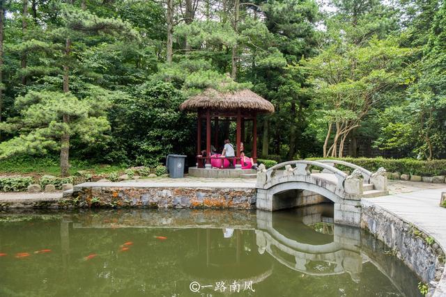 夏天避暑最佳旅游地庐山,江西庐山4天3夜旅游攻略