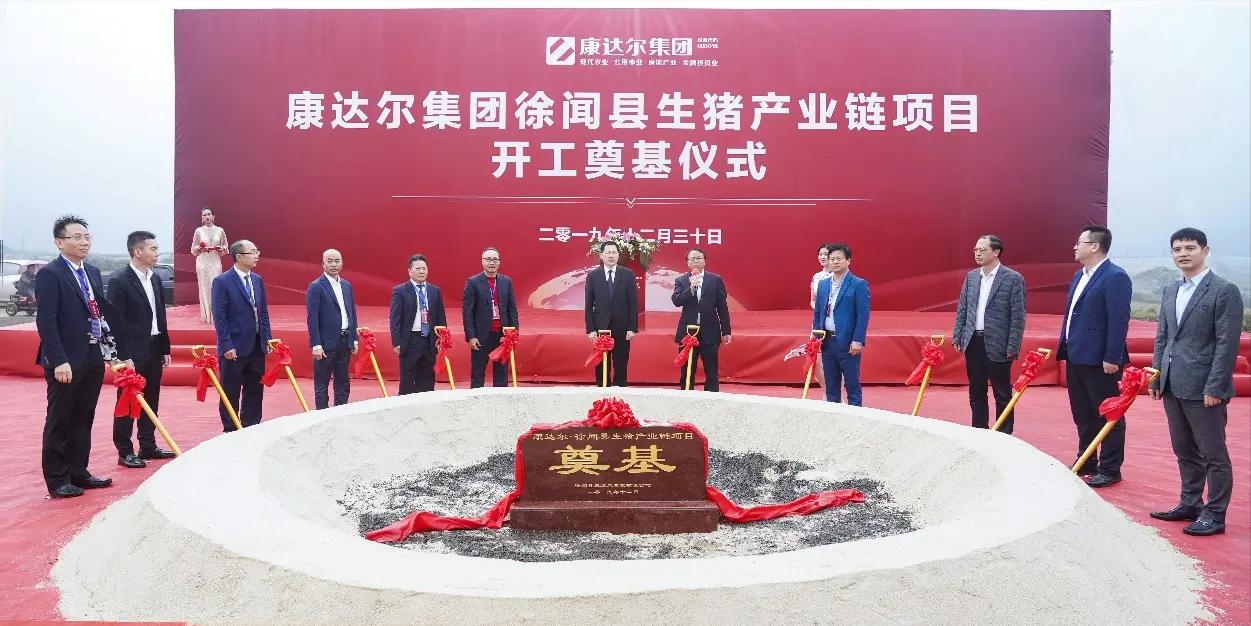 京基恶意并购康达尔在哪一年,京基集团康达尔