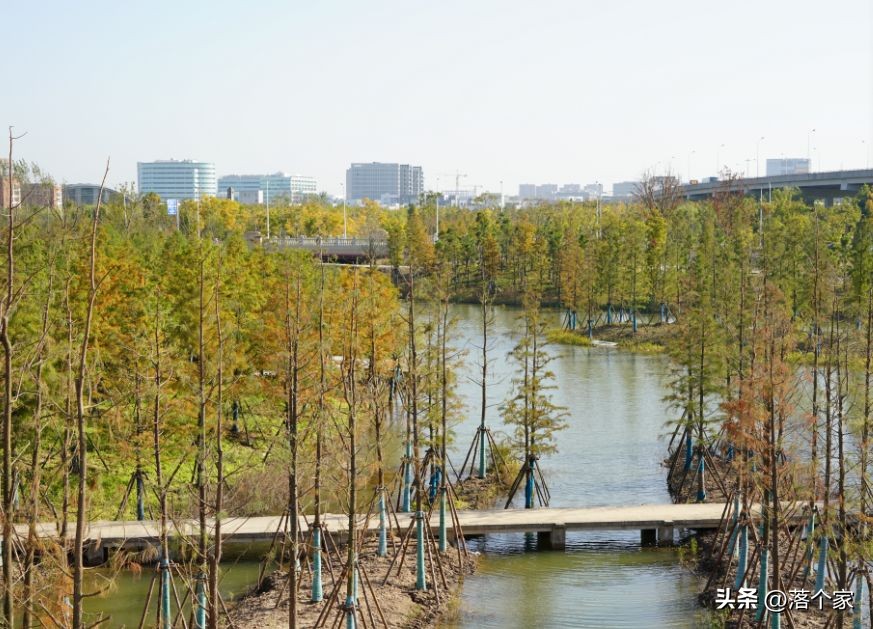 汤臣金桥花园,汤臣金桥花园一期多少钱一平方