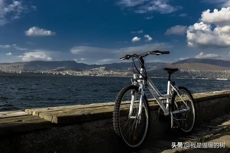 上下班通勤车哪个品牌好,上下班代步买哪款电动汽车好