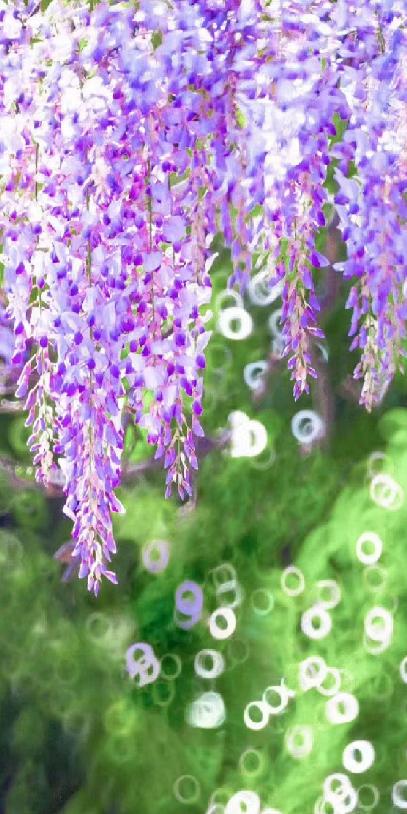 五一的常州,常州的五一