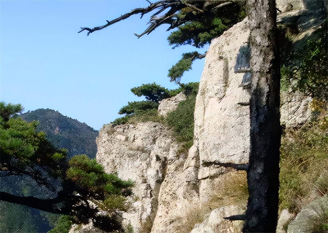 09年浙江深山半夜传来婴啼，男子买下山上矿洞，其妻调查发现端倪