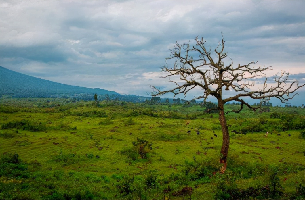 非洲最奇葩的贫民窟,捡剩饭也要花20万买名牌西装,只为上街遛一圈