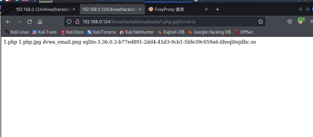 web渗透漏洞挖掘项目报告,web渗透与漏洞挖掘下载