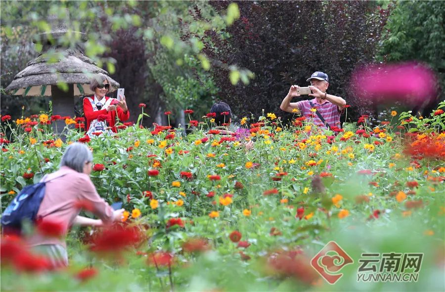 中秋节去云南旅游景点攻略,云南中秋旅游景点大全