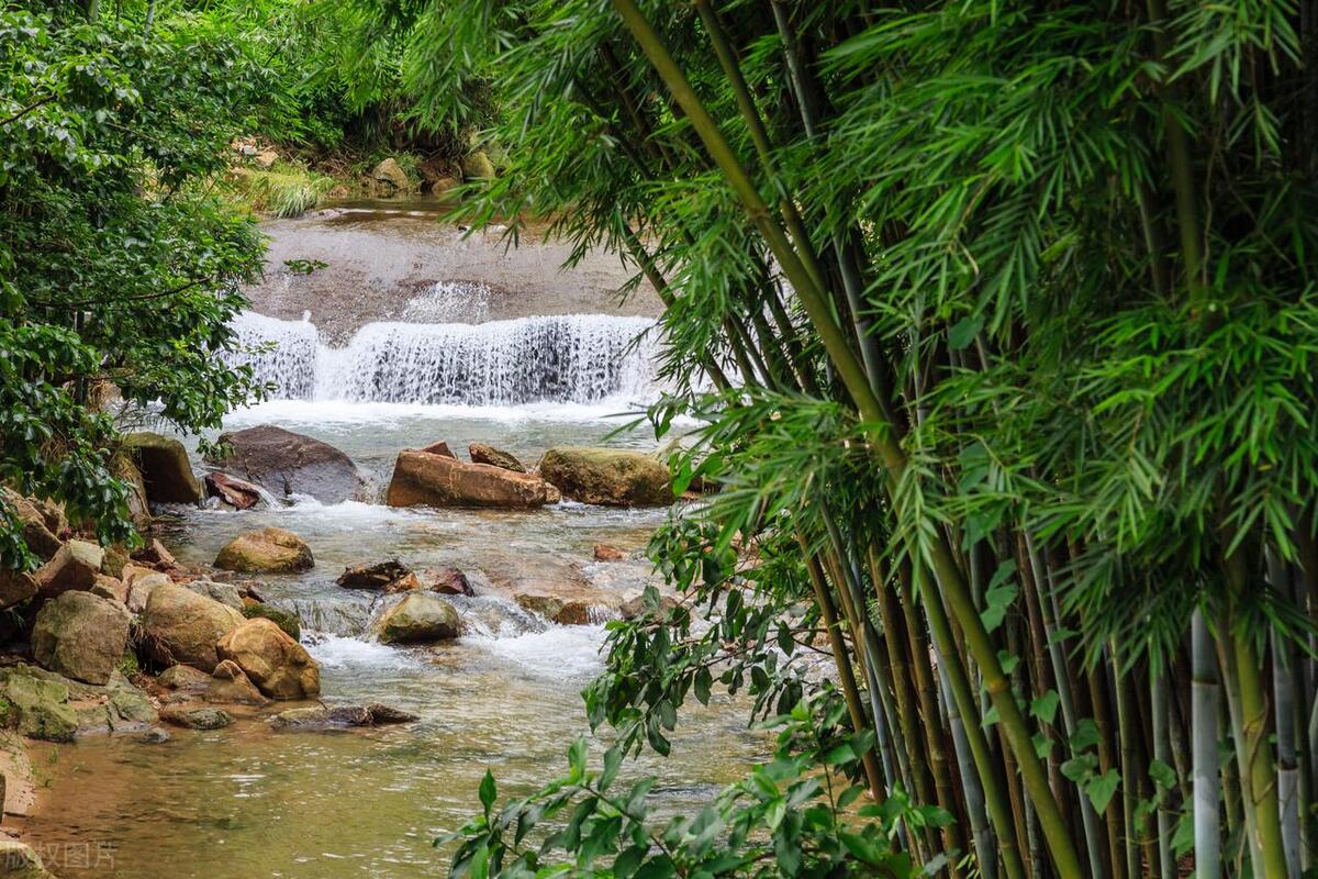 从化东成荷花园,从化摘荔枝之旅