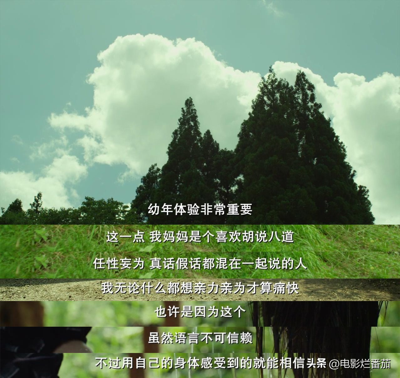 豆瓣9.0，日本乡间简素的一餐一饭，治好了无数人的“精神内耗”