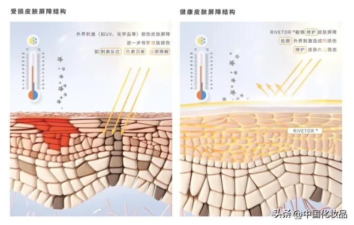 半亩花田天猫旗舰店,天猫半亩花田