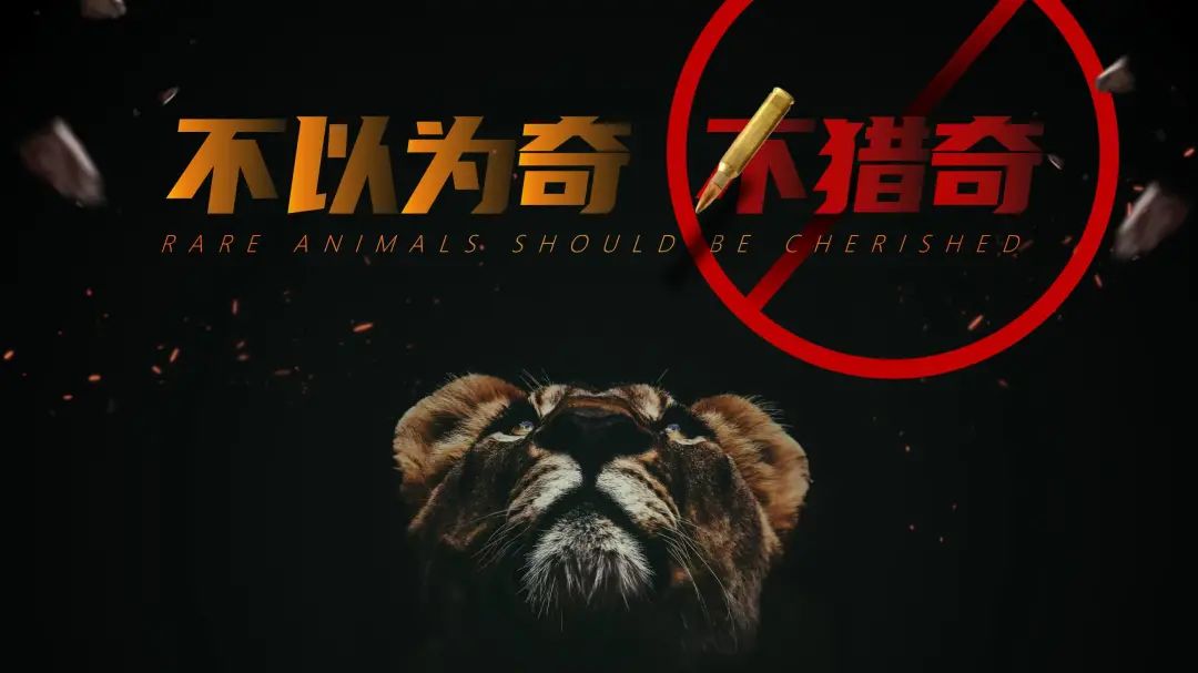 世界野生动植物日保护宣传活动,世界野生动植物保护日英语