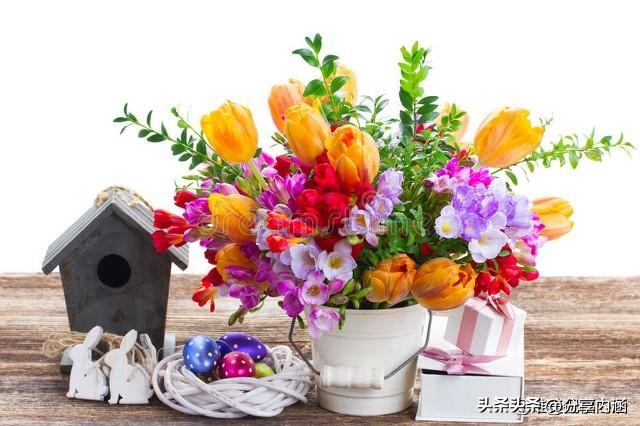 3月15日早安每日问候祝福语,三月最美早安祝福语