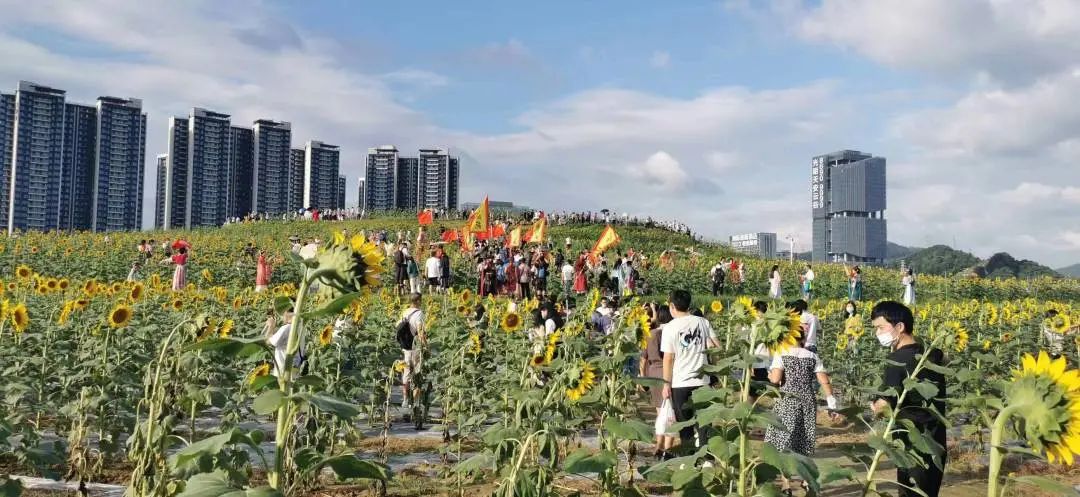 光明附近坐地铁好玩的景点,光明必去十大景点有哪些